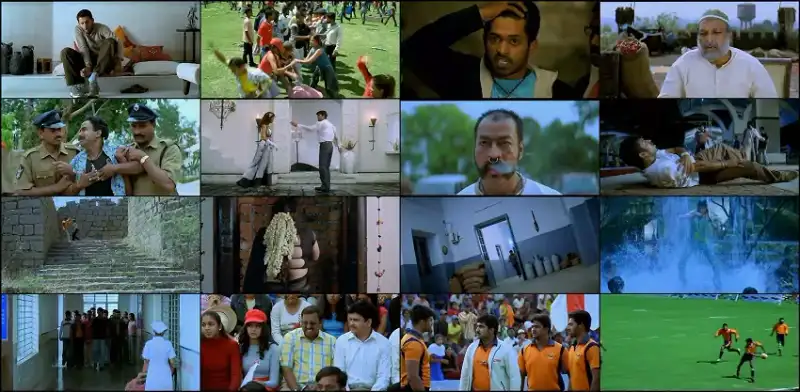 aar , paar: , the , judgement | , 2004