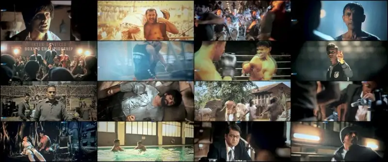 chandu , champion , 2024