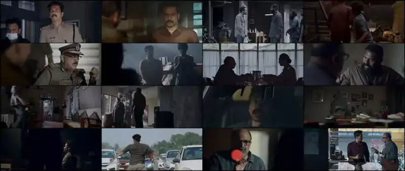 corona , papers , 2023