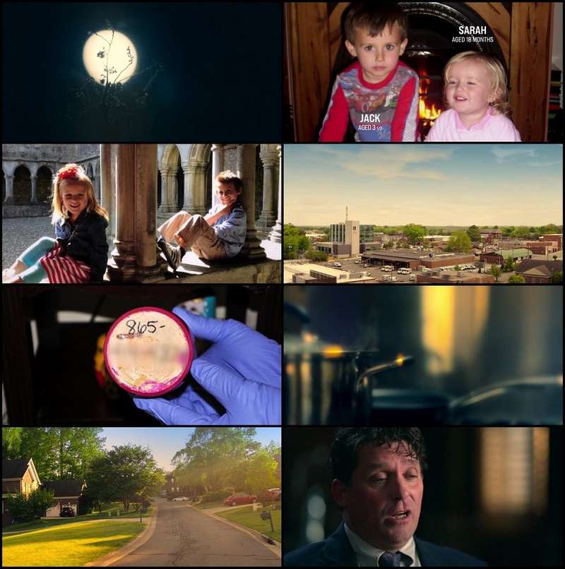 a , deadly , american , marriage , 2025 , web-dl , dual , audio , hindi-english