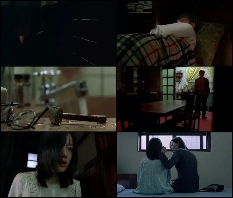 a , tale , of , two , sisters , 2003 , hindi-korean , dual , audio , full , movie