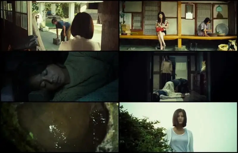 bedevilled  , 2010 , hindi-korean , dual , audio , bluray