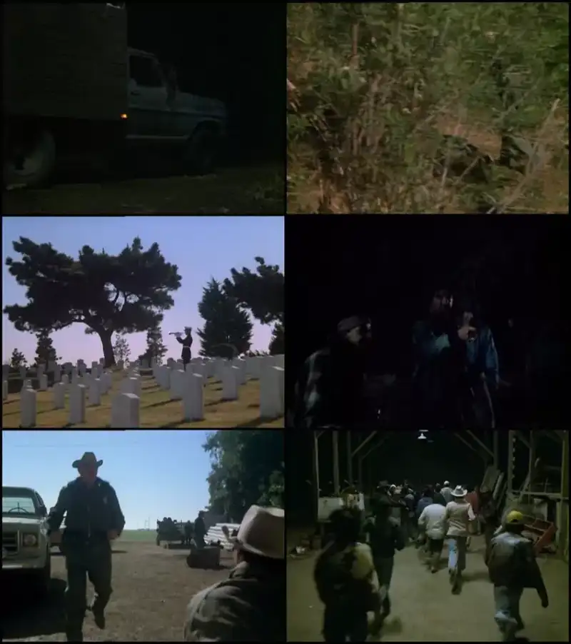 borderline , 1980 , hindi-english , dual , audio , full , movie