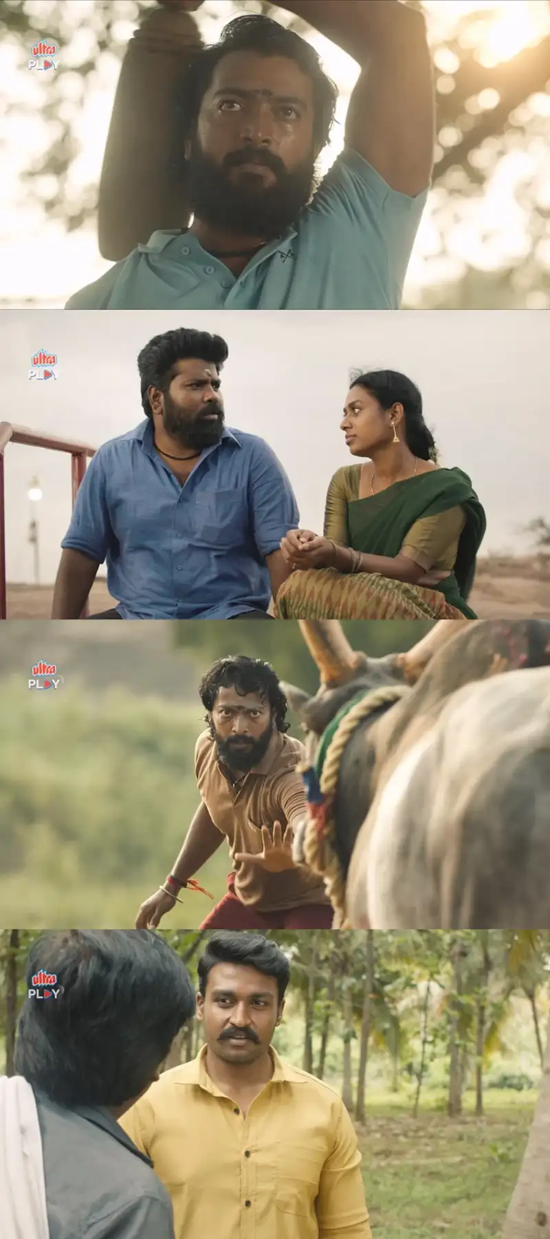 bullfight , 2024 , season , 1 , org. , dubbed , web , series