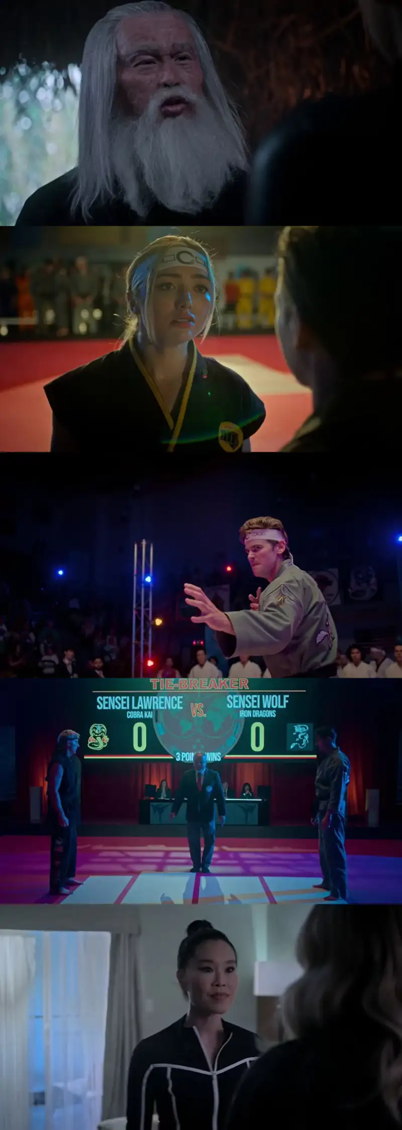 cobra , kai , 2024-2025 , season , 6 , dual , audio , hindi-english , netflix , original , web , series