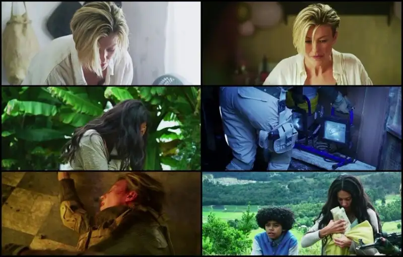 dominique , 2024 , hindi-english , dual , audio , web-dl