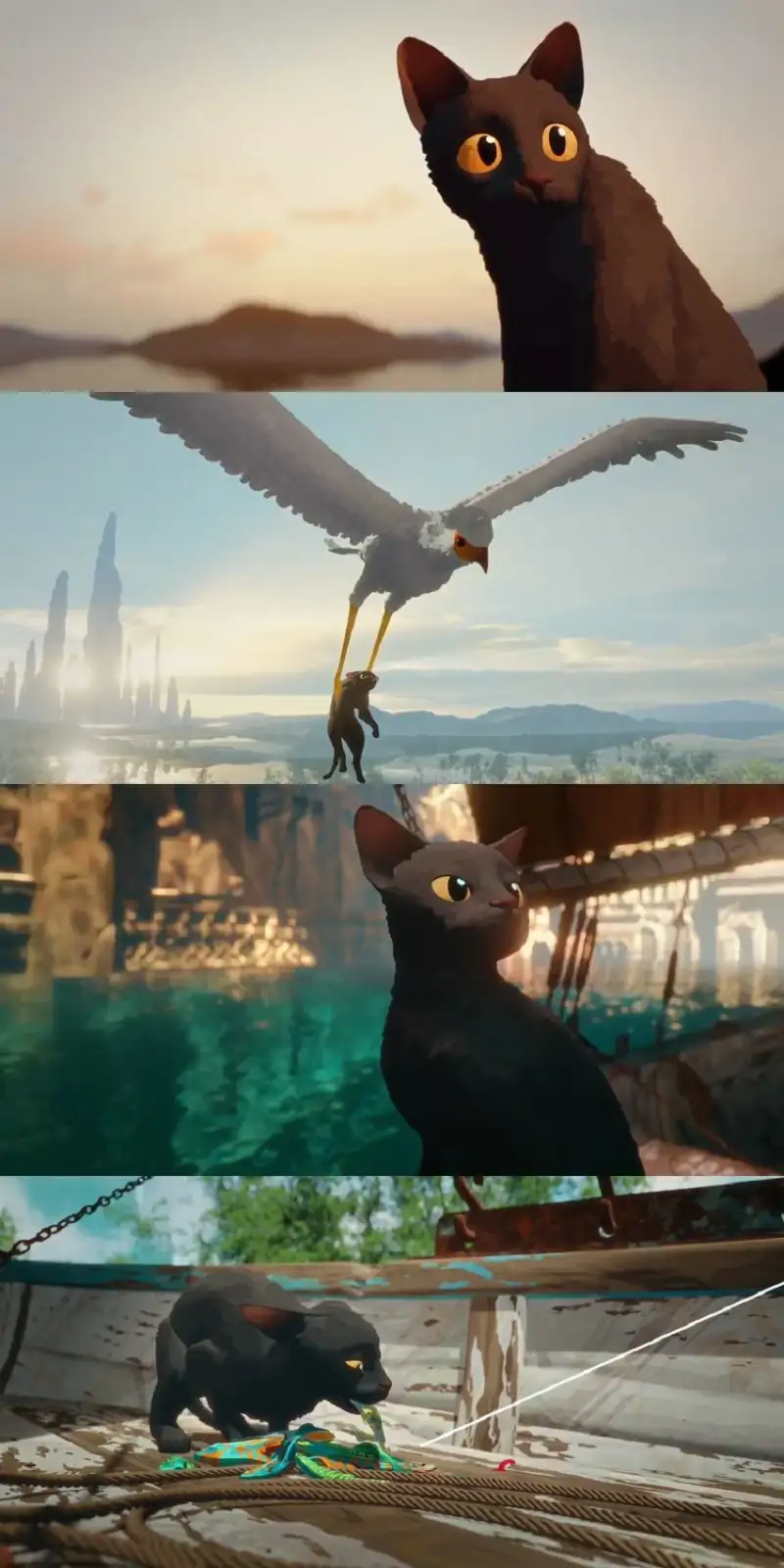 flow , 2024 , with , subtitles