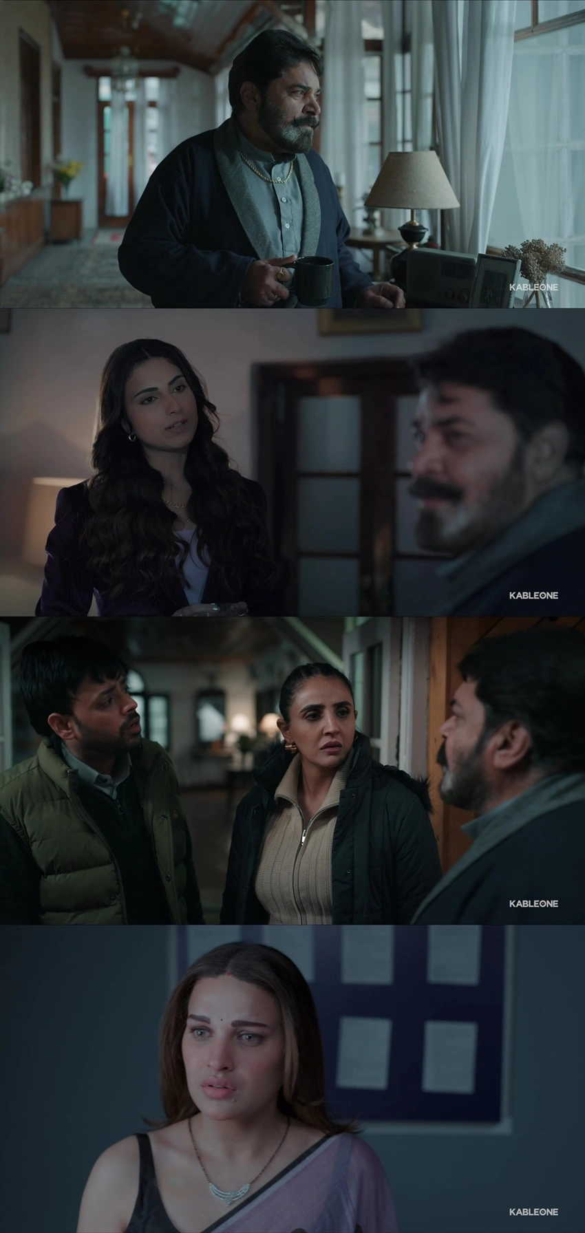 haan , main , pagal , haan , 2025 , punjabi , dd2.0 , web-dl , full , movie