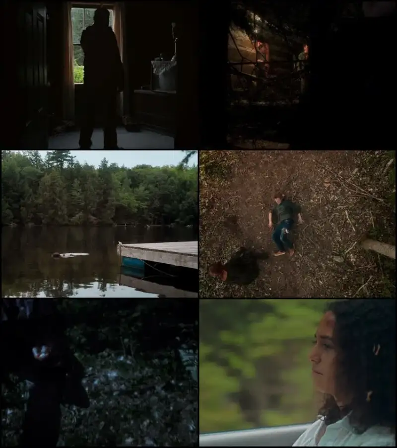 in , a , violent , nature , 2024 , hindi-english , dual , audio , bluray