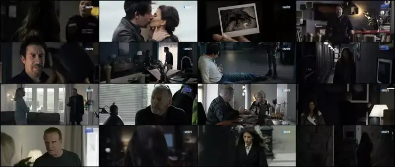 its , not , over | , 2022 , dubbed