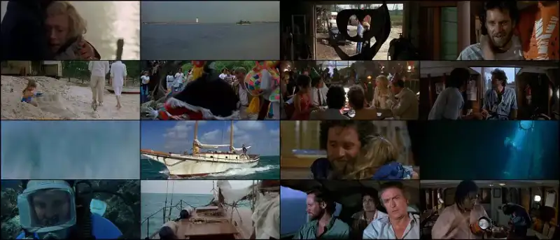 jaws , 4: , the , revenge , 1987 , hindi-english