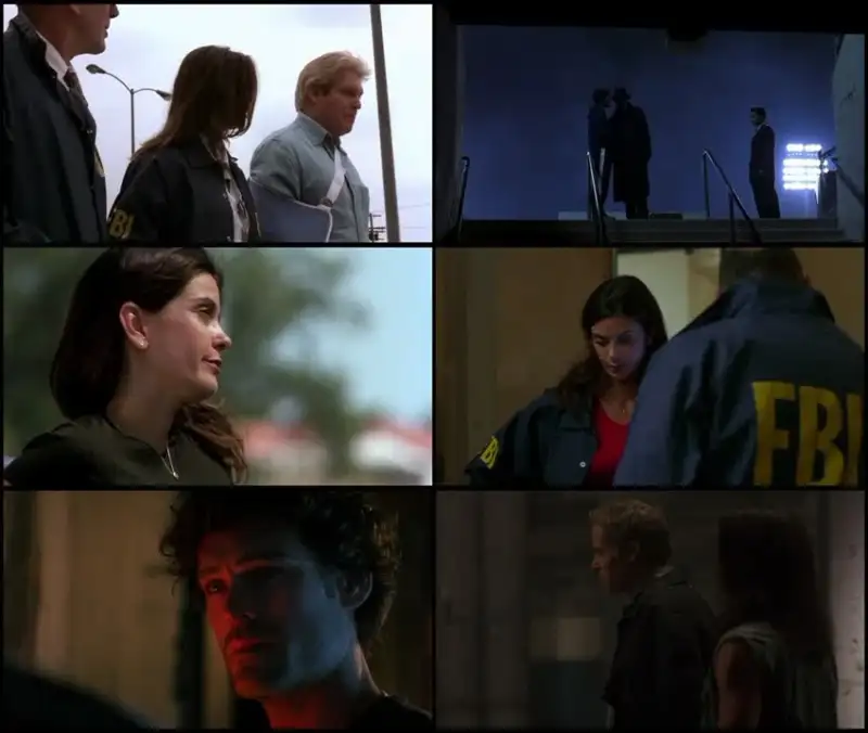 momentum , 2003 , web-dl , dual , audio , hindi-english