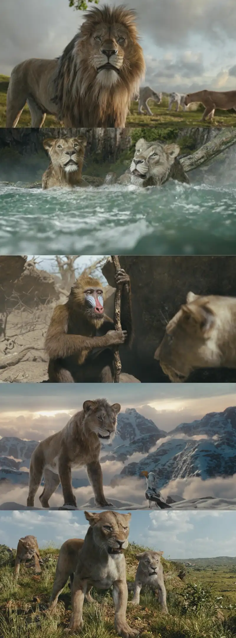 mufasa: , the , lion , king , 2024 , org , dd5.1-english