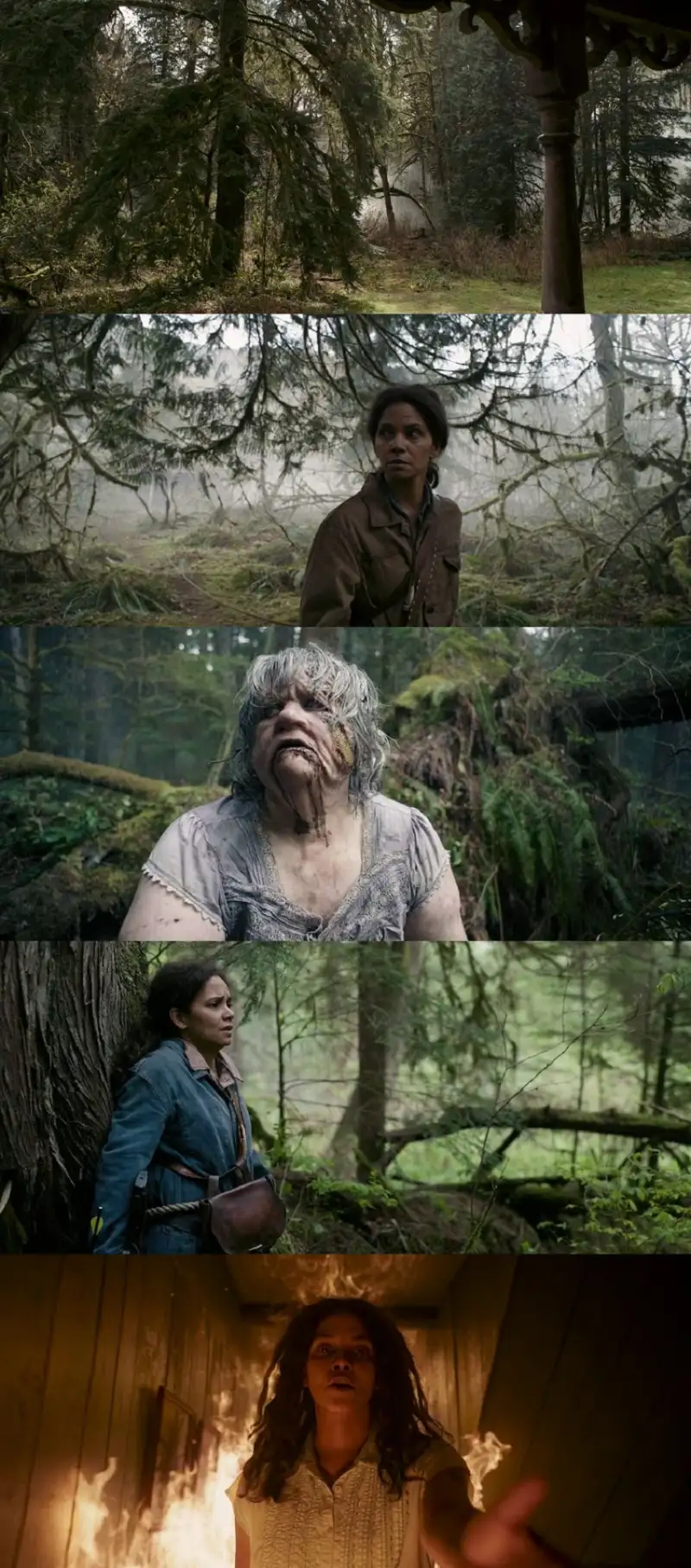 never , let , go , 2024 , hindi-english