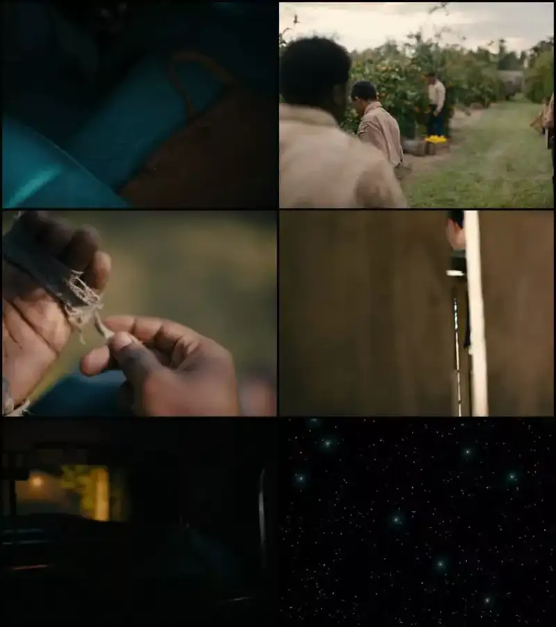 nickel , boys , 2024 , dual , audio | , hindi-english , full , movie