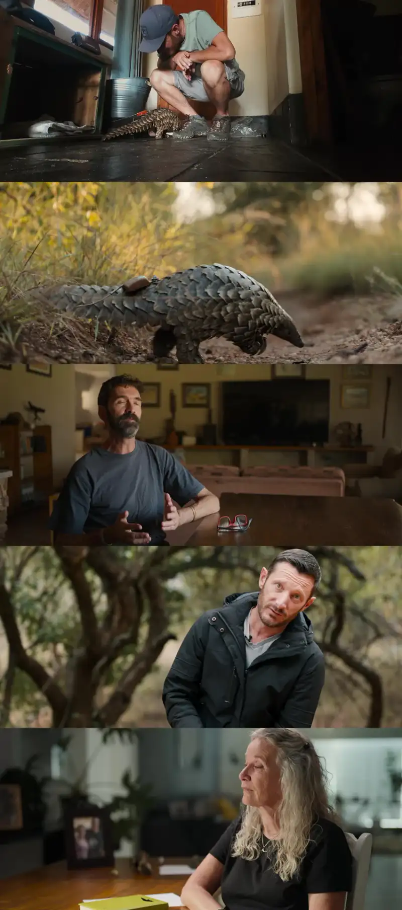 pangolin: , kulu’s , journey , 2025 , hindi-english , dual , audio , web-dl , full , movie