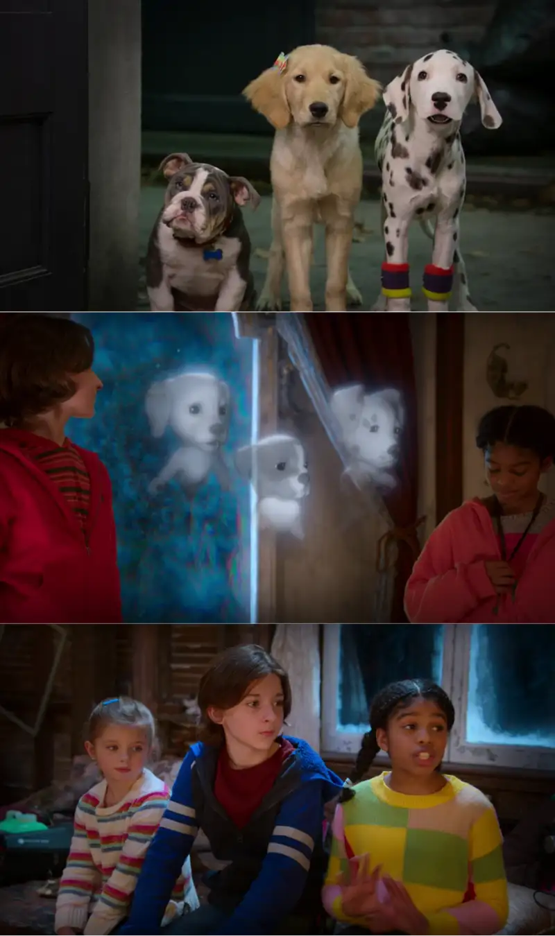 phantom , pups , 2022 , season , 1 , dual , audio , {hindi-english} , web , series