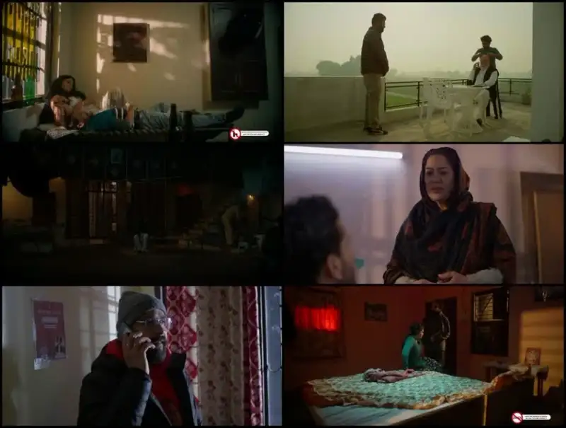 rishte , naate , 2025 , punjabi , dd5.1 , web-dl , full , movie