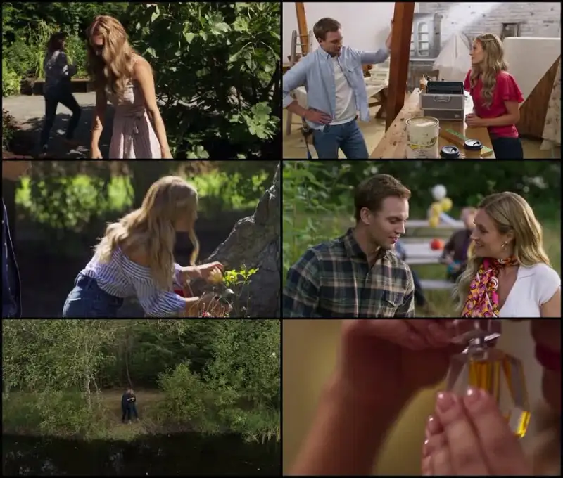 scented , with , love , 2022 , dual , audio , hindi-english , web-dl