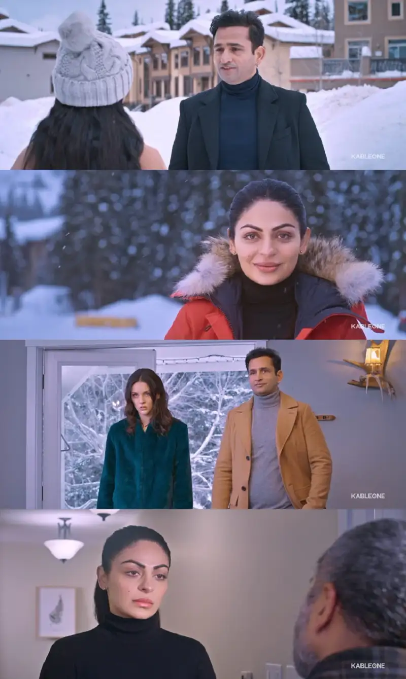 snowman , 2024 , punjabi , web-dl , full , movie