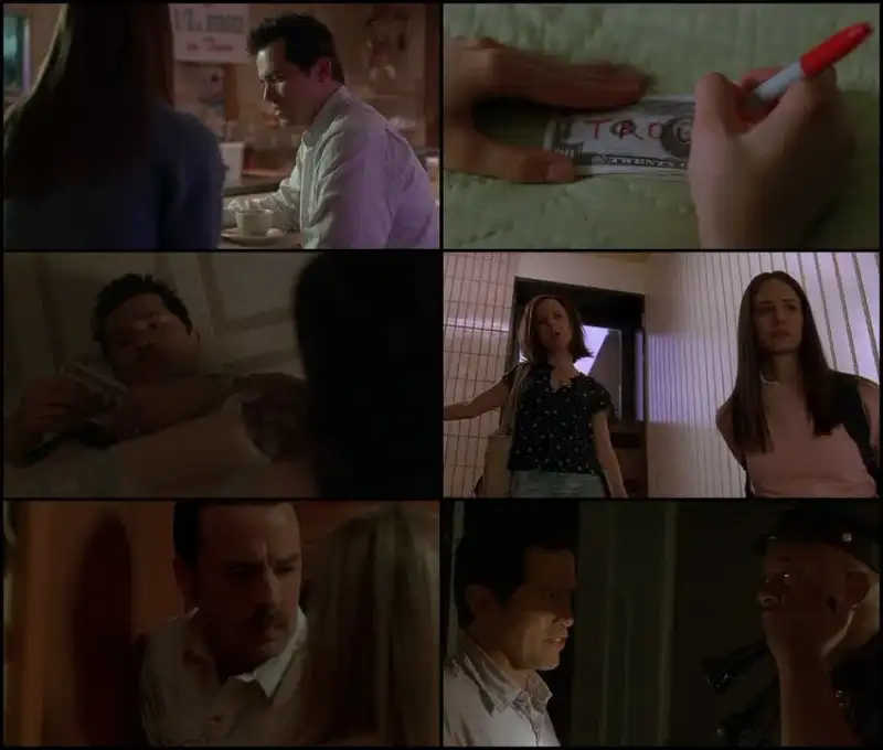 the , babysitters , 2007 , dual , audio , hindi-english , bluray