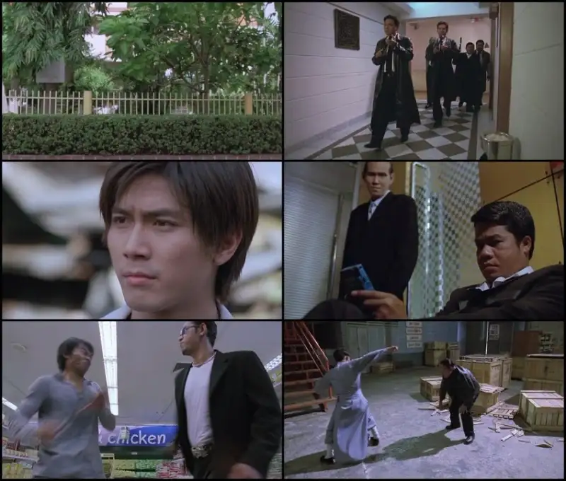 the , bodyguard , 2004 , hindi-thai , web-dl , dual , audio