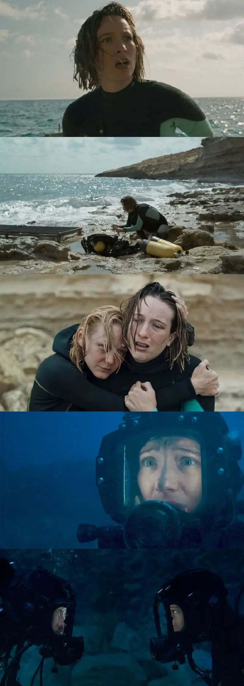 the , dive , 2024 , –