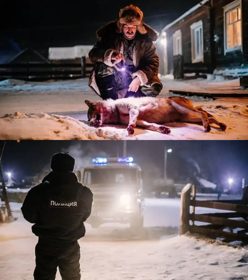 the , rage , 2023 , dual , audio , hindi-russian , full , movie