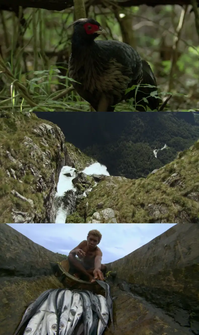 south , pacific , 2023 , season , 1 , netflix , original , web , series 