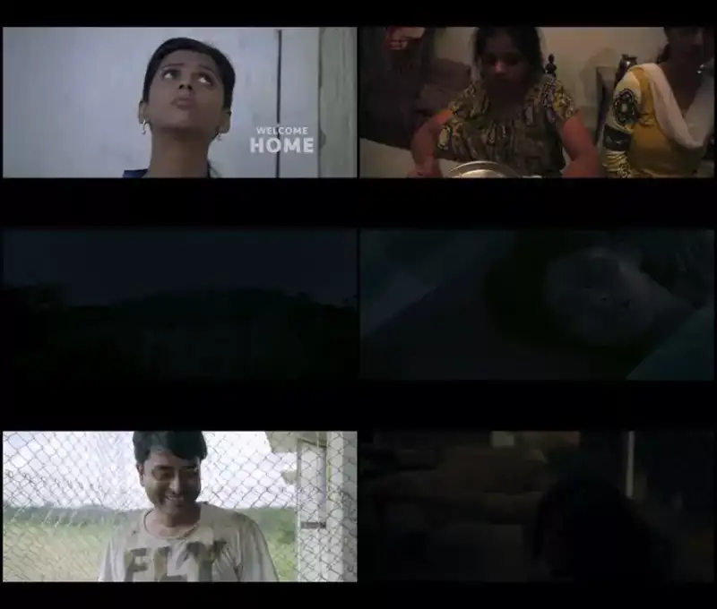 welcome , home , 2020 , dd2.0 , sonyliv , web-dl , full , movie