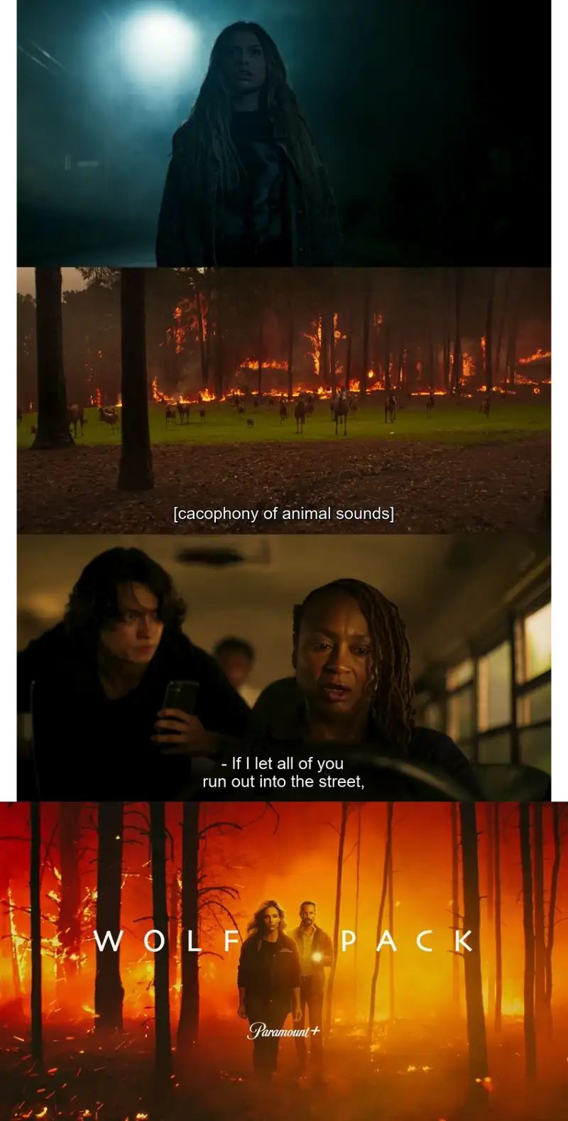 wolf , pack , 2023 , season , 1 , web , series