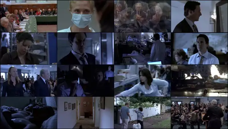 fatal , contact , bird , flu , in , america , 2006 , hindi-english