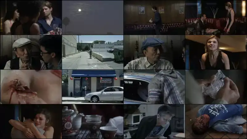 fortune , cookie , 2016 , hindi-english