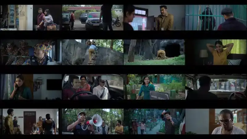 grrr , 2024 , dubbed