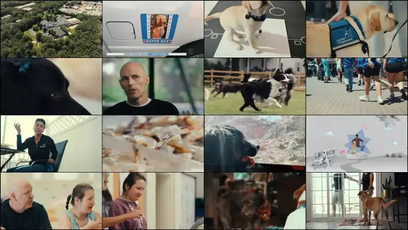 inside , the , mind , of , a , dog , 2024 , hindi-english