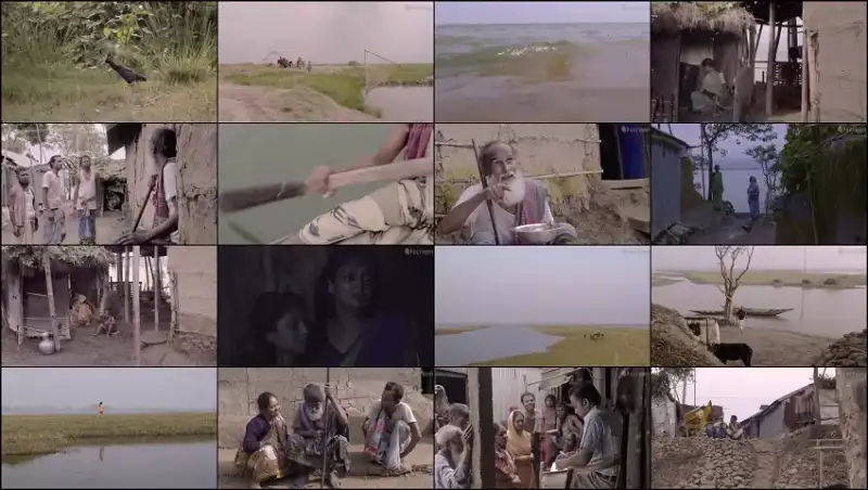 kura , pokkhir , shunne , ura , 2020 , bangla |