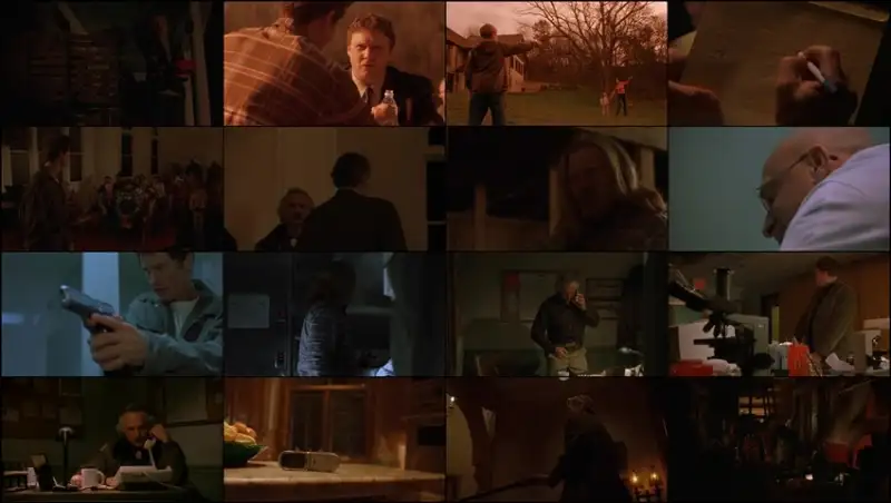 larva , 2005 , hindi-english