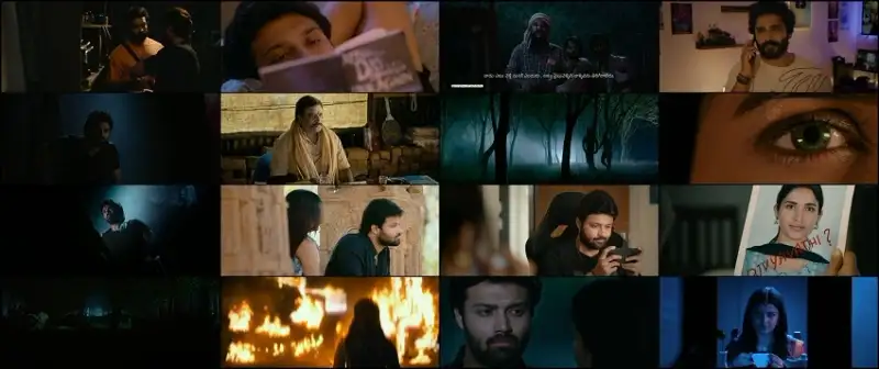 love , me , if , you , dare , 2024 , – , telugu