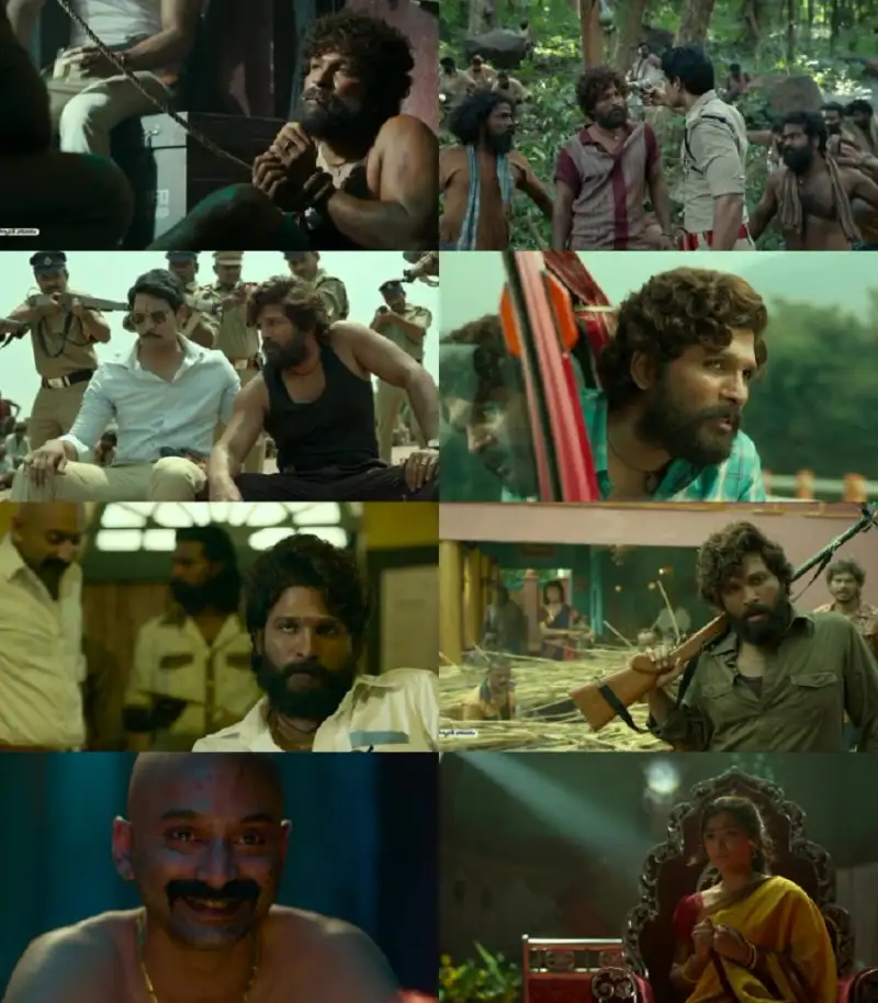 pushpa: , the , rise , – , part , 1 , 2021 , hindi-telugu-malayalam-kannada