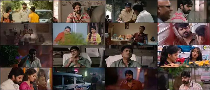 raja , raja , chora , 2021 , dubbed