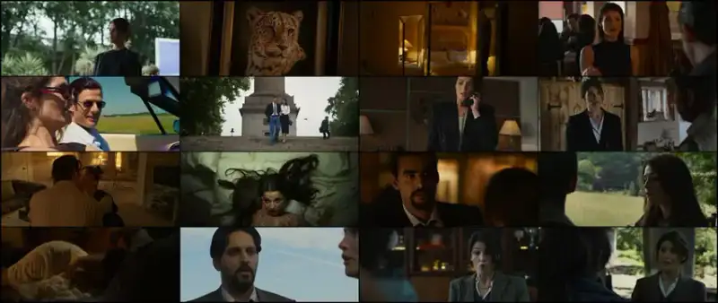 rogue , agent , 2022 , hindi-english