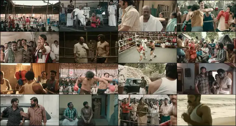 sarpatta , parambarai , 2021 , dubbed