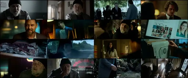 sleeping , dogs , 2024 , hindi-english