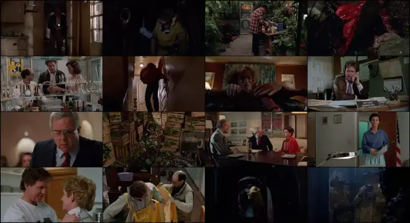 slugs , 1988 , hindi-english