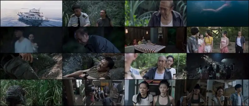 snake , island , python , 2022 , hindi-chinese