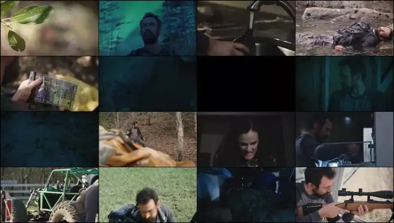 survive , 2021 , hindi-english