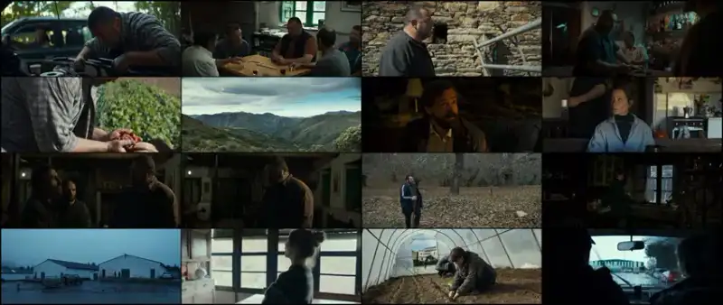 the , beasts , 2022 , hindi-spanish