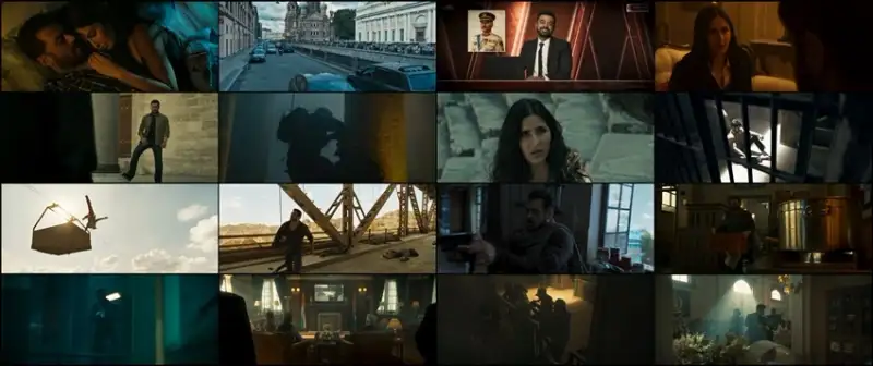 tiger , 3 , 2023 , 2160p , 4k