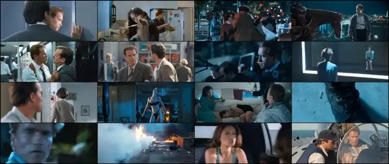 true , lies , 1994 , hindi-english