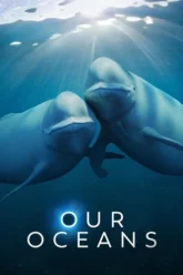 Download Our Oceans | 2024 | Season 1 | {Hindi-English-}| Netflix Original Web Series | 720p 1080p